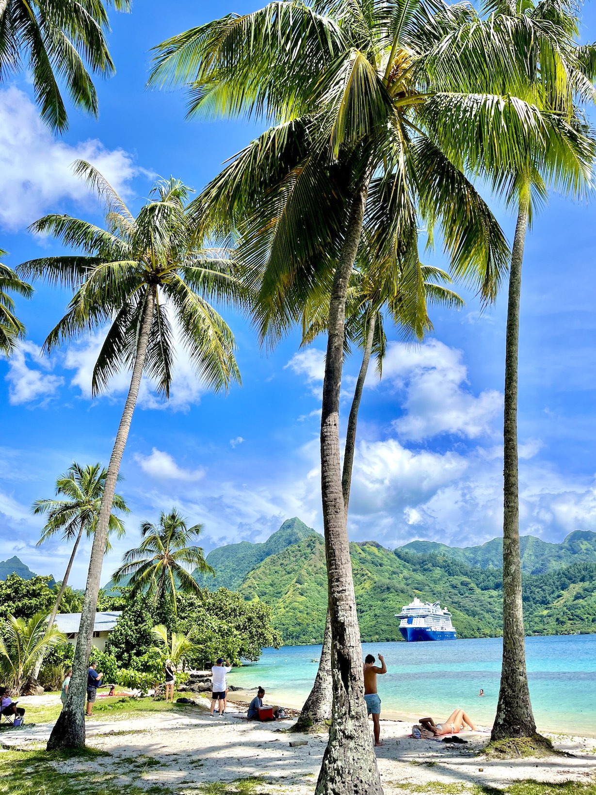 Készülj velünk 2026 első negyedév nagy kalandjaira!